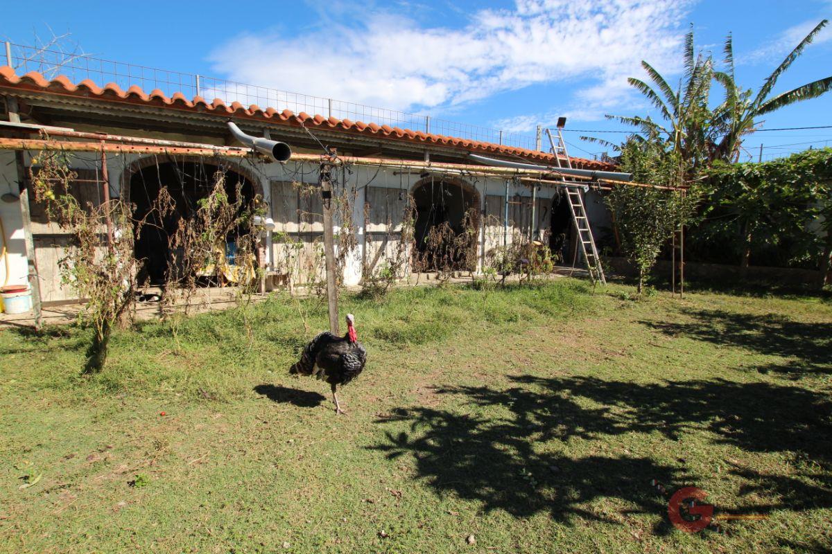 Venta de finca rústica en Motril