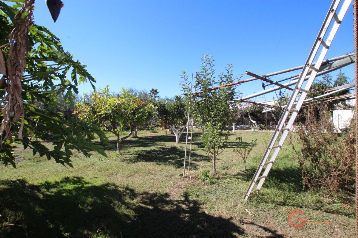 Venta de finca rústica en Motril