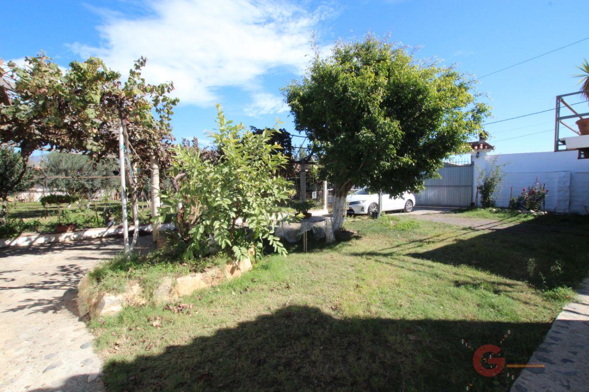 Venta de finca rústica en Motril