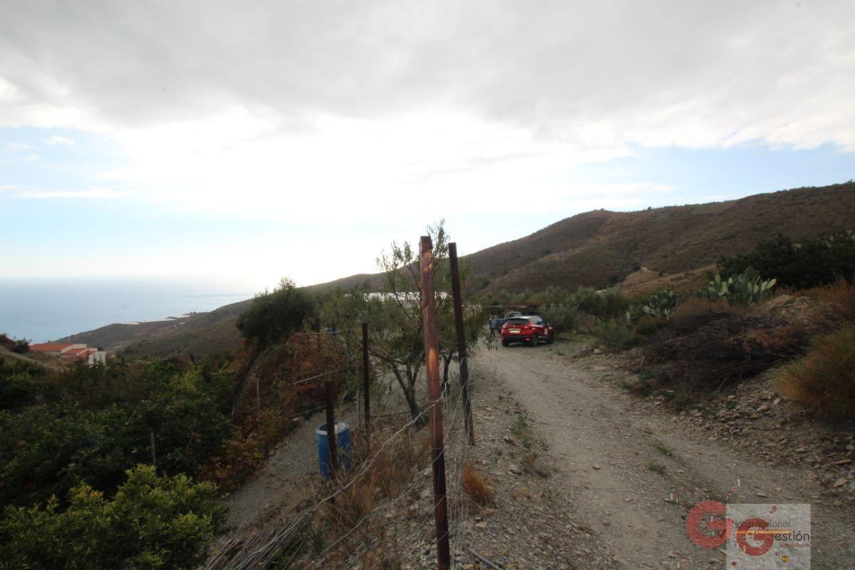For sale of rural property in Rubite