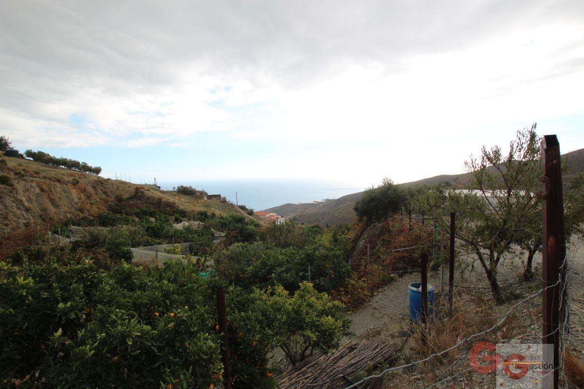 For sale of rural property in Rubite