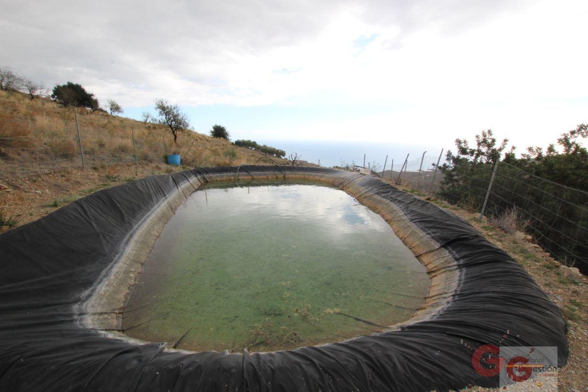 Venta de finca rústica en Rubite