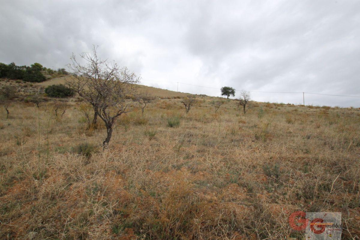 For sale of rural property in Rubite