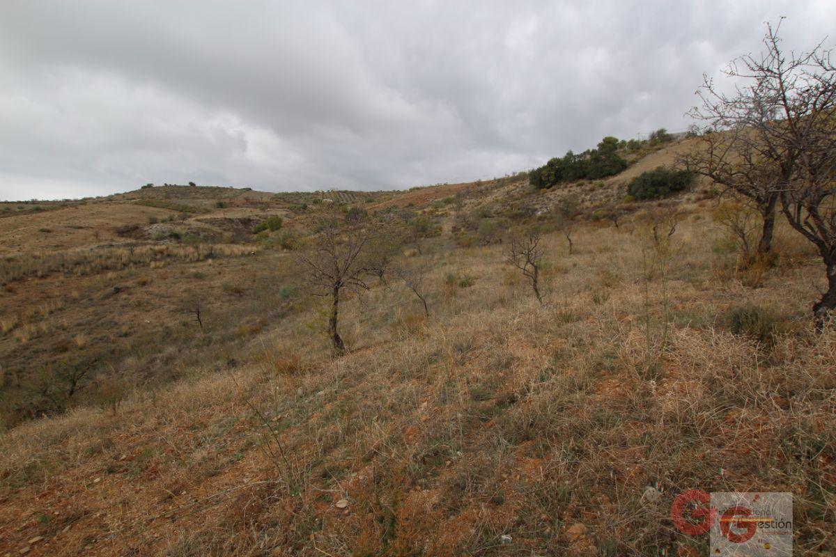 Venta de finca rústica en Rubite