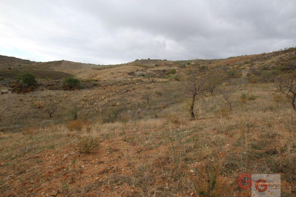 Venta de finca rústica en Rubite