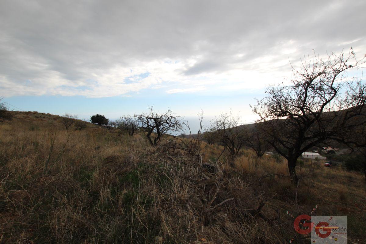 For sale of rural property in Rubite