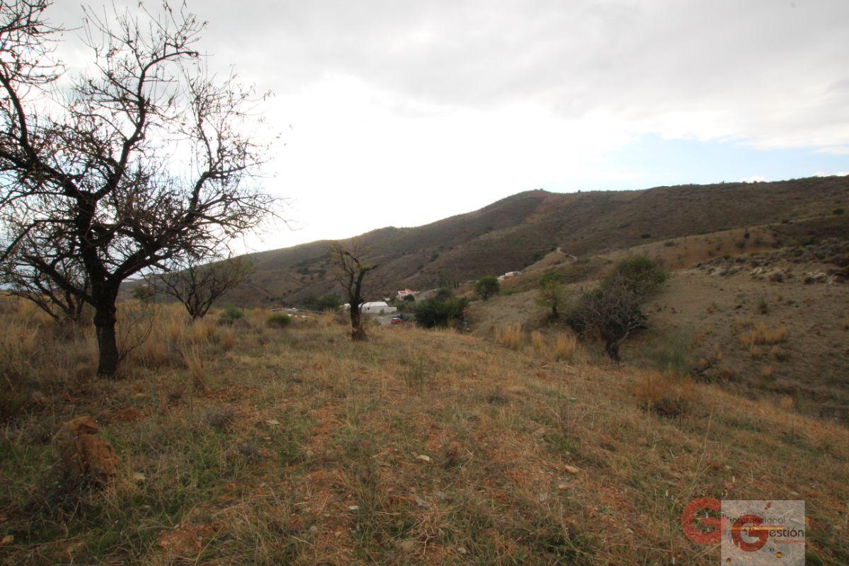 For sale of rural property in Rubite