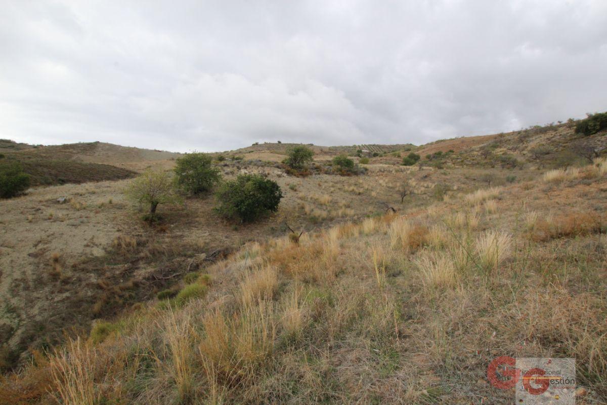 For sale of rural property in Rubite