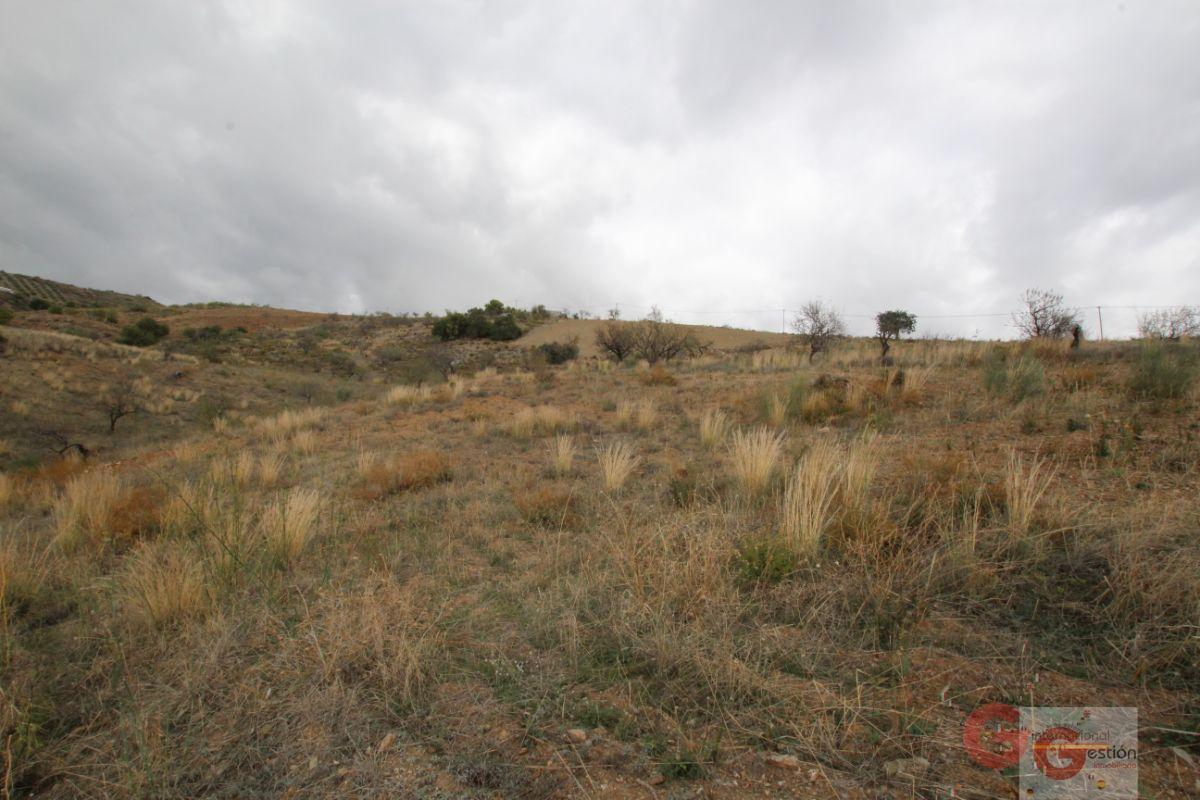 For sale of rural property in Rubite