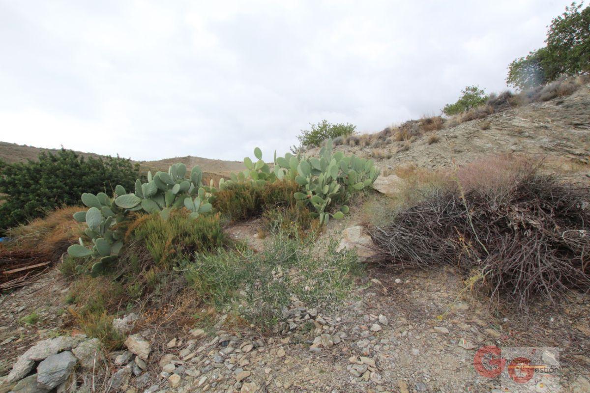 For sale of rural property in Rubite