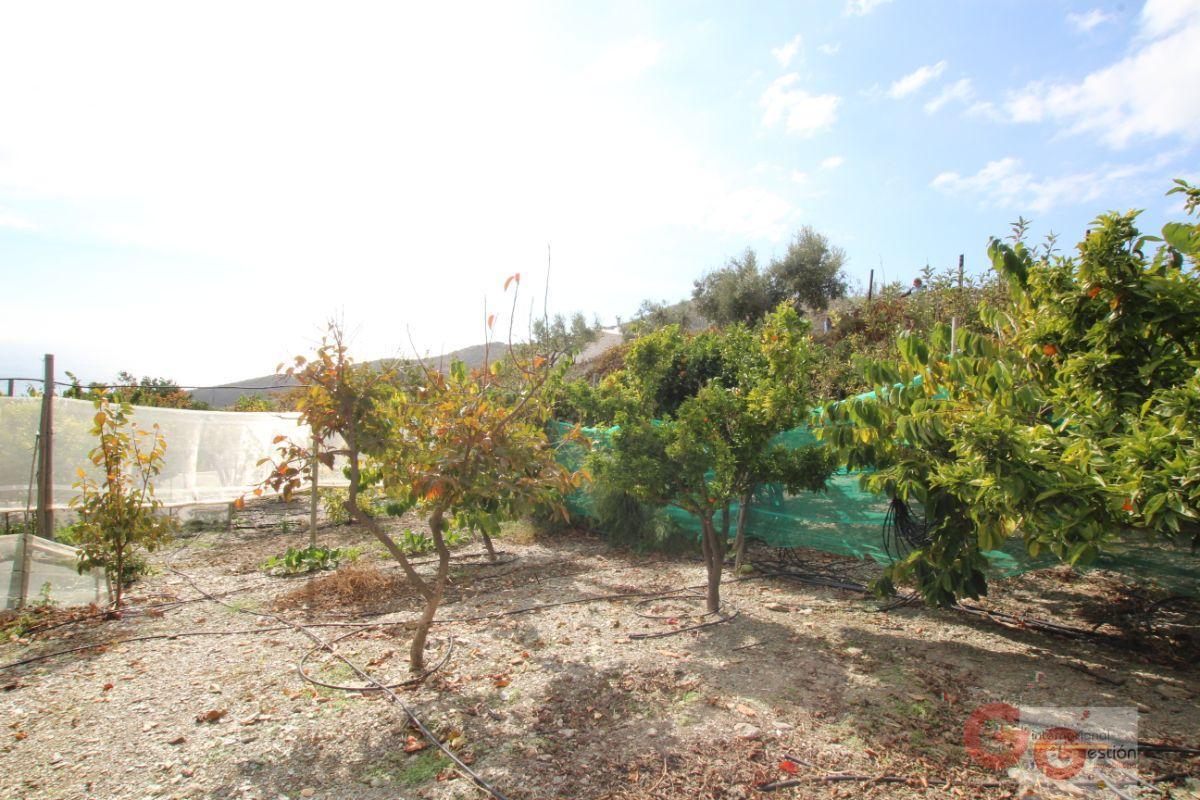 For sale of rural property in Rubite