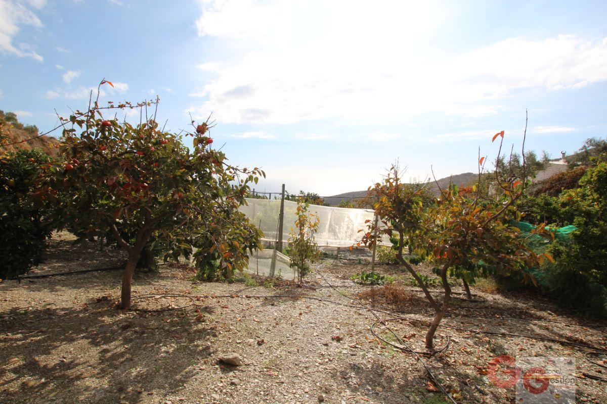 For sale of rural property in Rubite