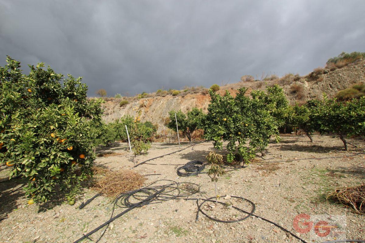 Venta de finca rústica en Rubite