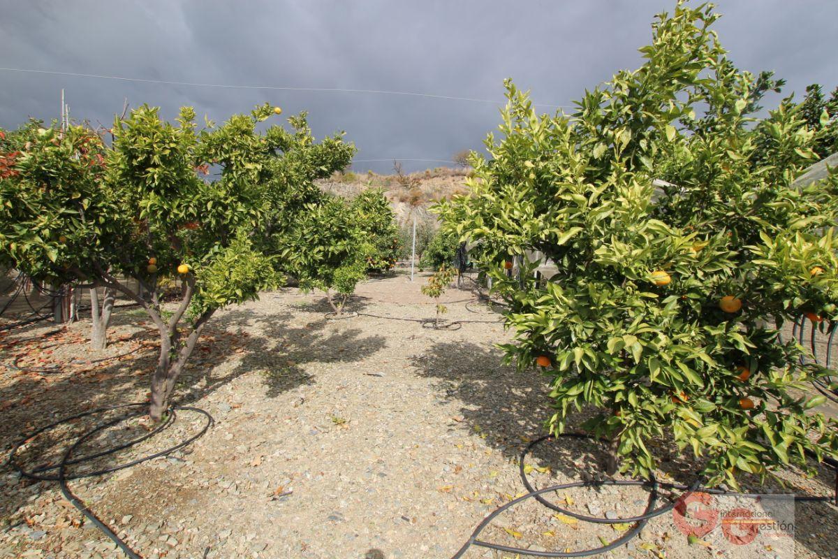 For sale of rural property in Rubite