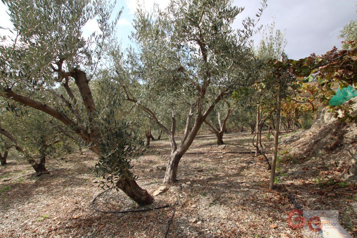 For sale of rural property in Rubite