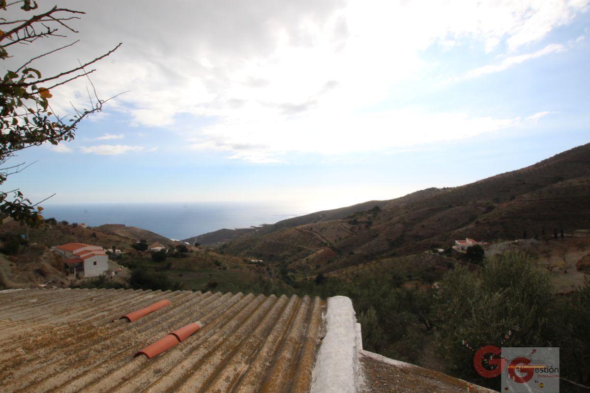For sale of rural property in Rubite