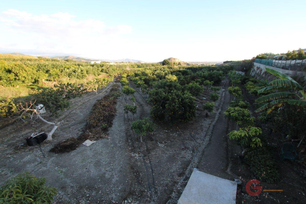 Venta de finca rústica en Salobreña