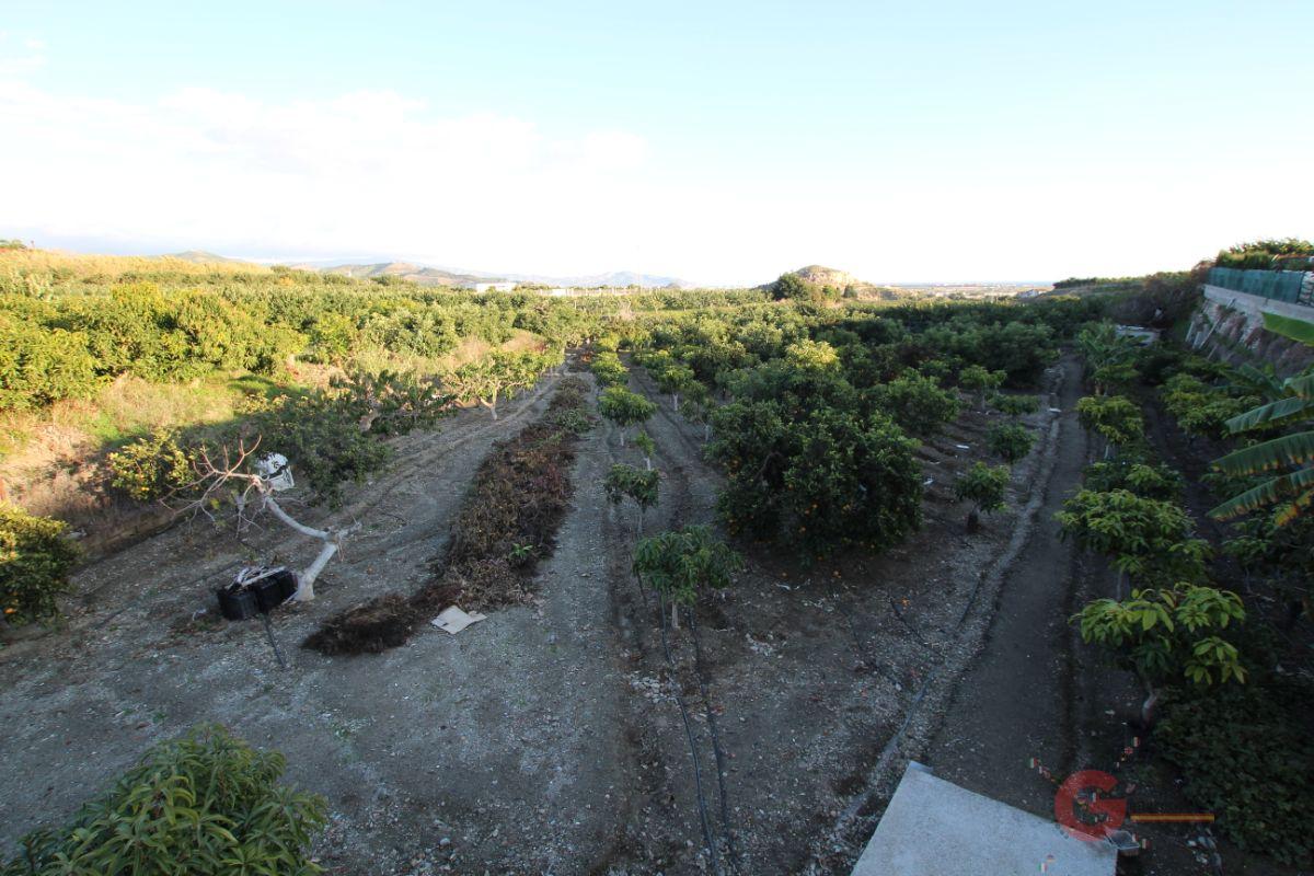 Venta de finca rústica en Salobreña