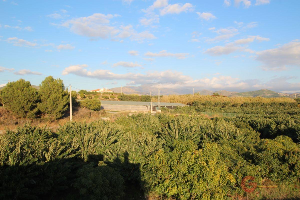 Vendita di proprietà rurale in Salobreña