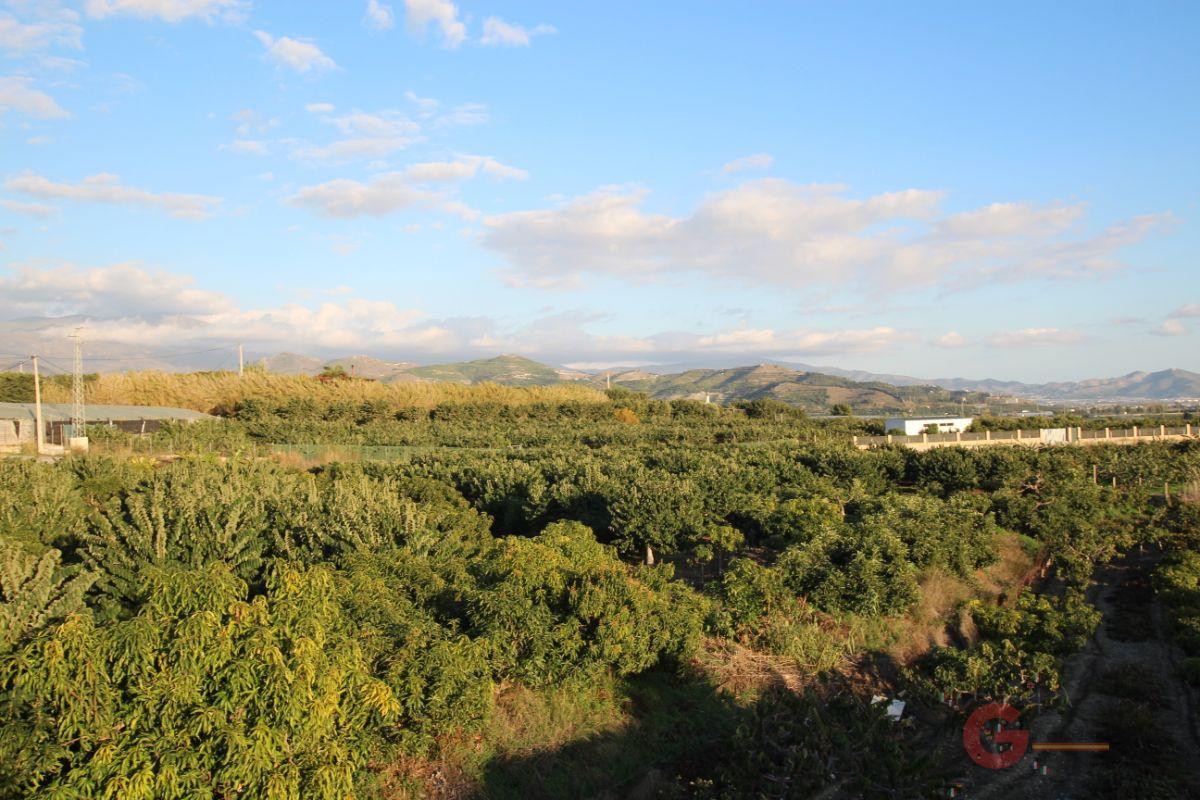 Venta de finca rústica en Salobreña