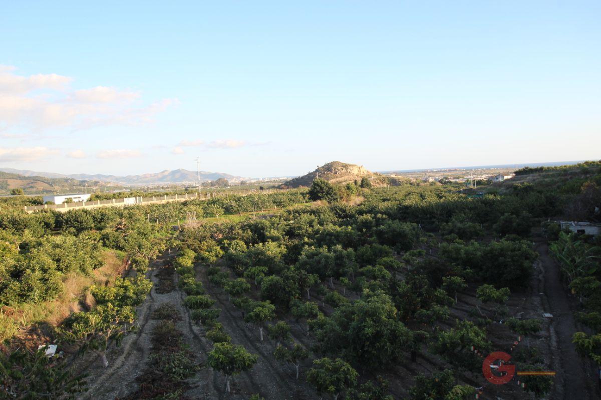 Venta de finca rústica en Salobreña