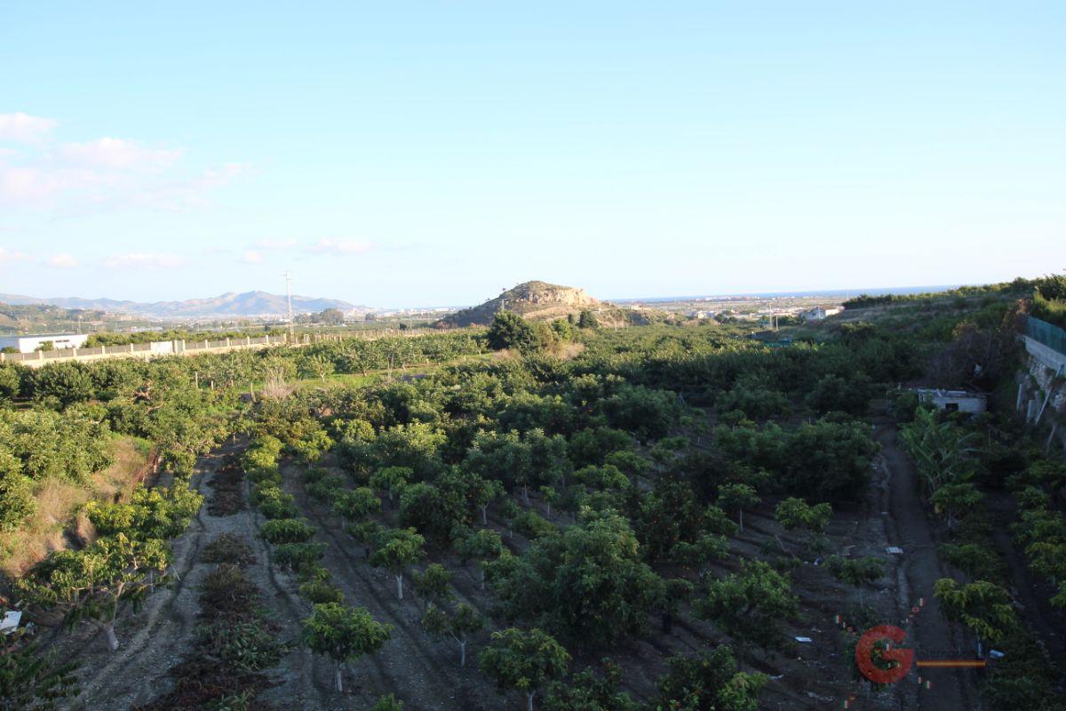 Venta de finca rústica en Salobreña