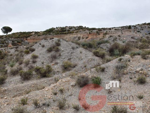 Venta de terreno en Vélez de Benaudalla Venta de terreno en Vélez de Benaudalla