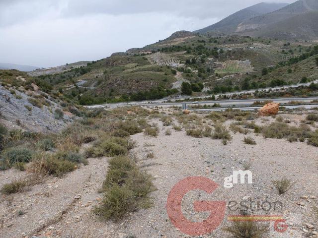 Venta de terreno en Vélez de Benaudalla Venta de terreno en Vélez de Benaudalla