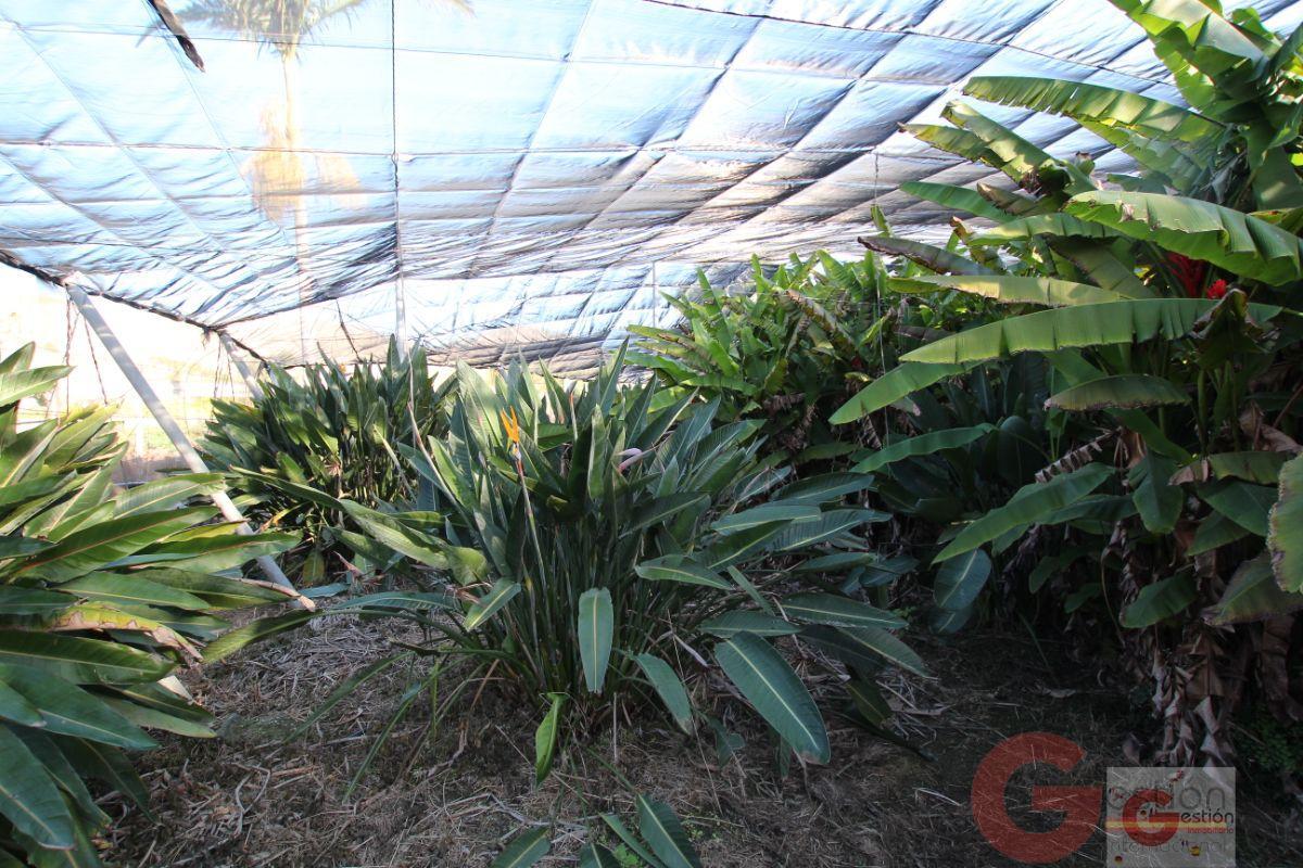 Venta de terreno en Motril