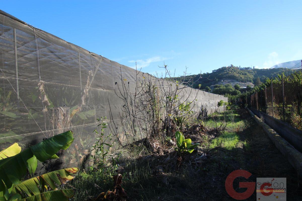 Venta de terreno en Motril