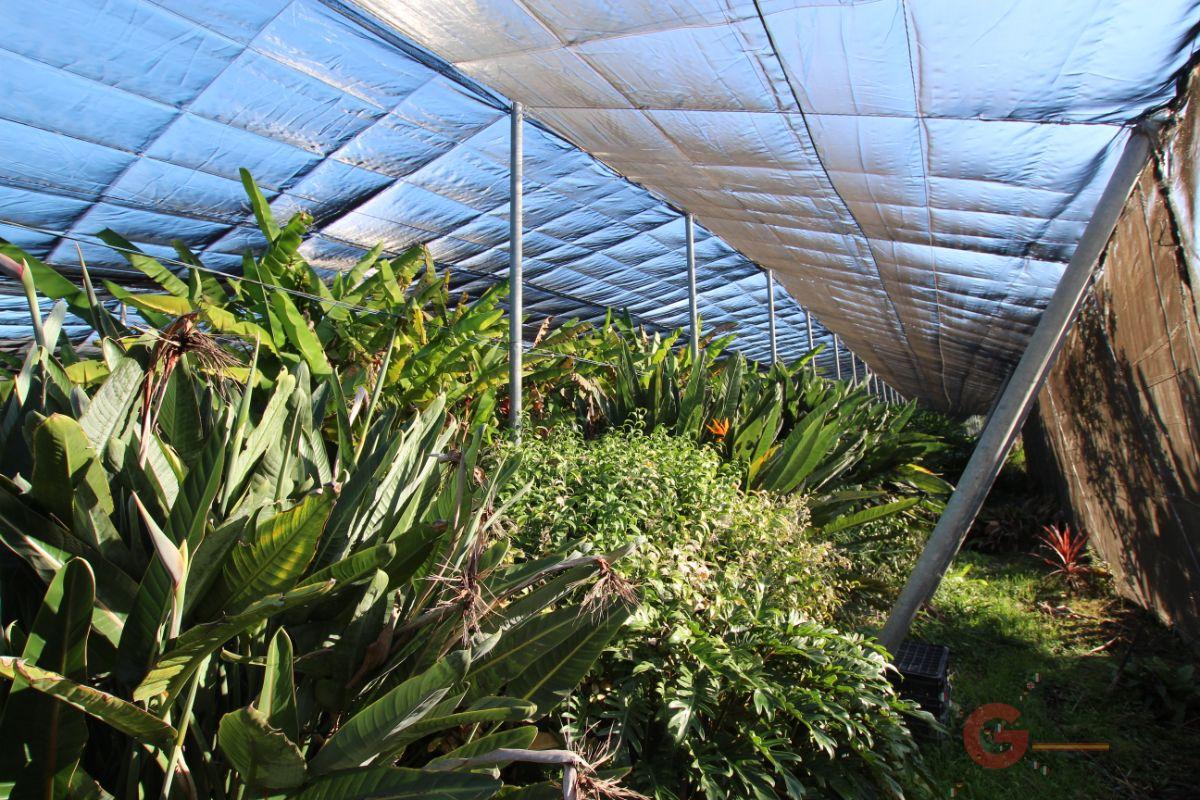 Venta de terreno en Motril