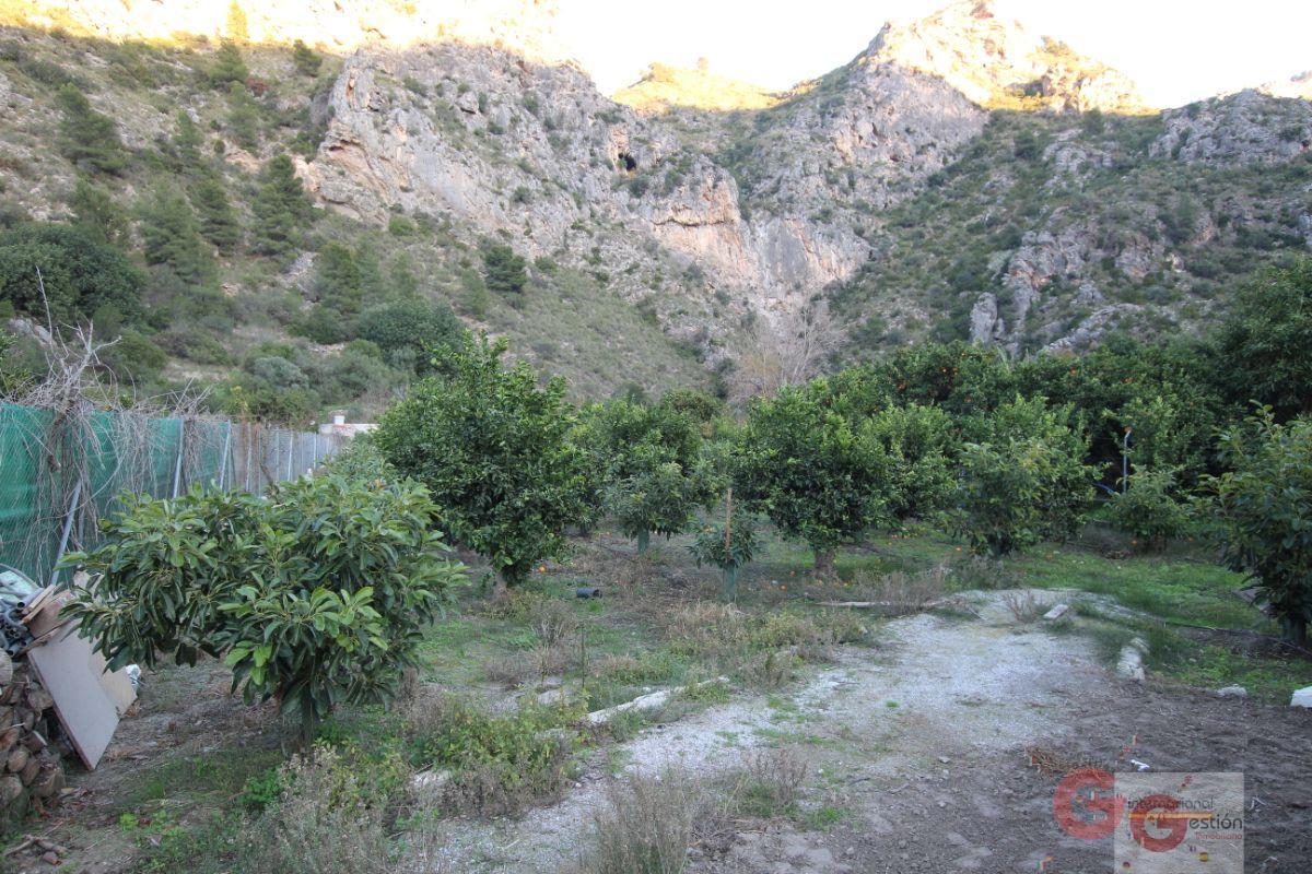 For sale of land in Vélez de Benaudalla