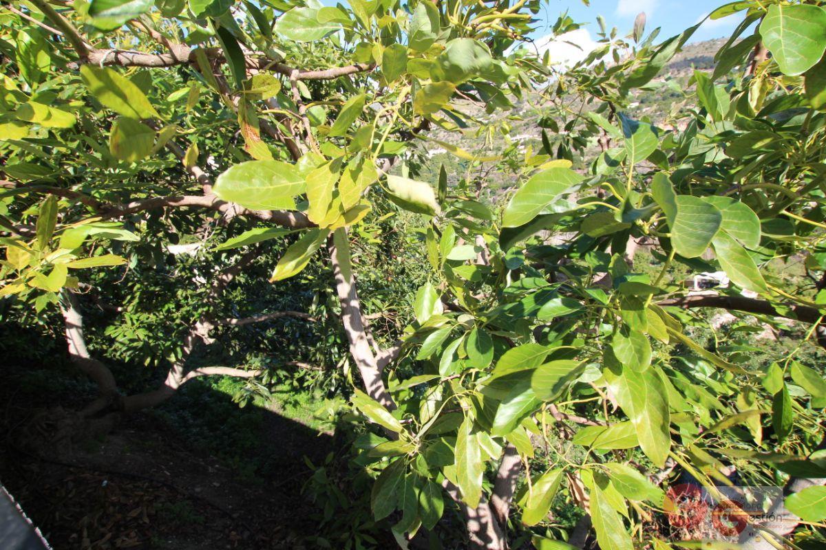 For sale of land in Guájar Fondón