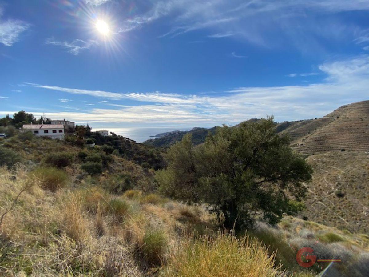 For sale of land in Almuñécar