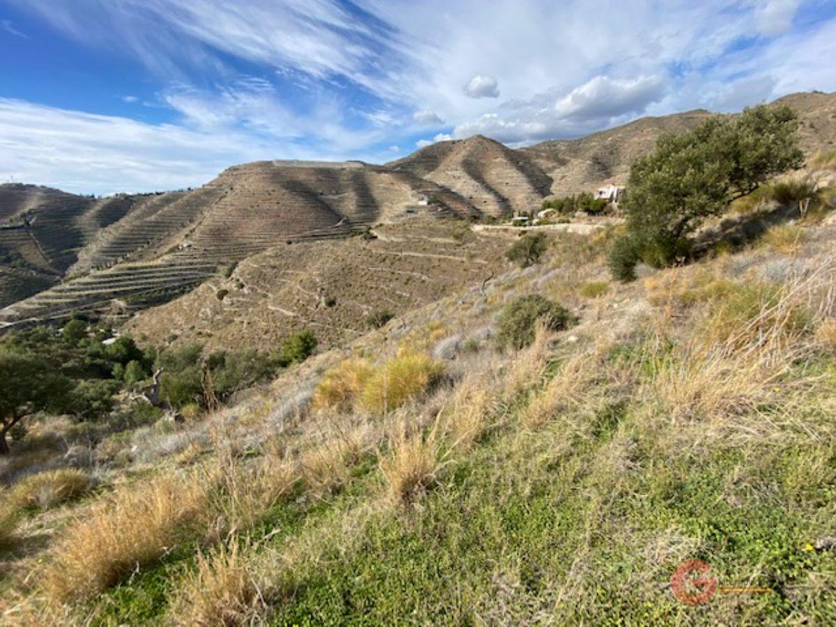 Venta de terreno en Almuñécar