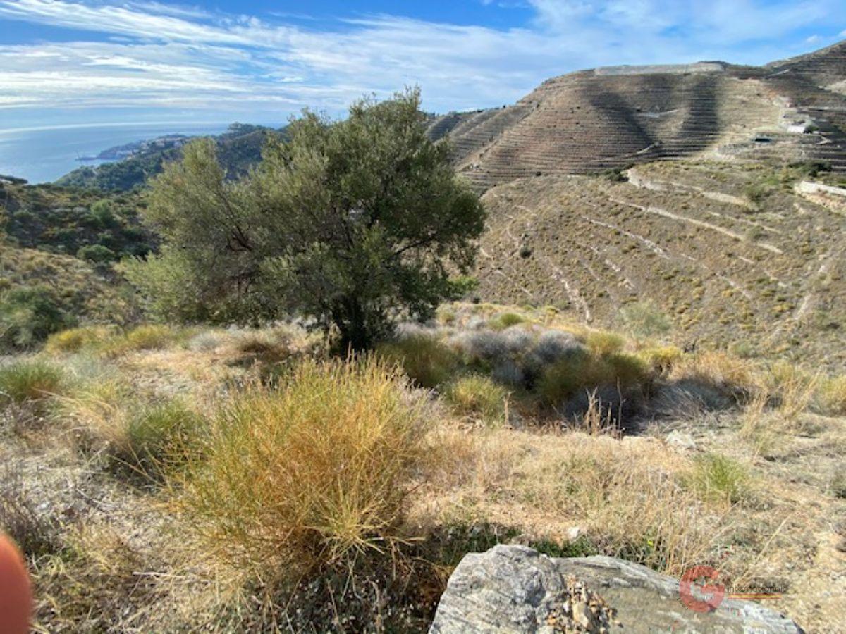 Venta de terreno en Almuñécar