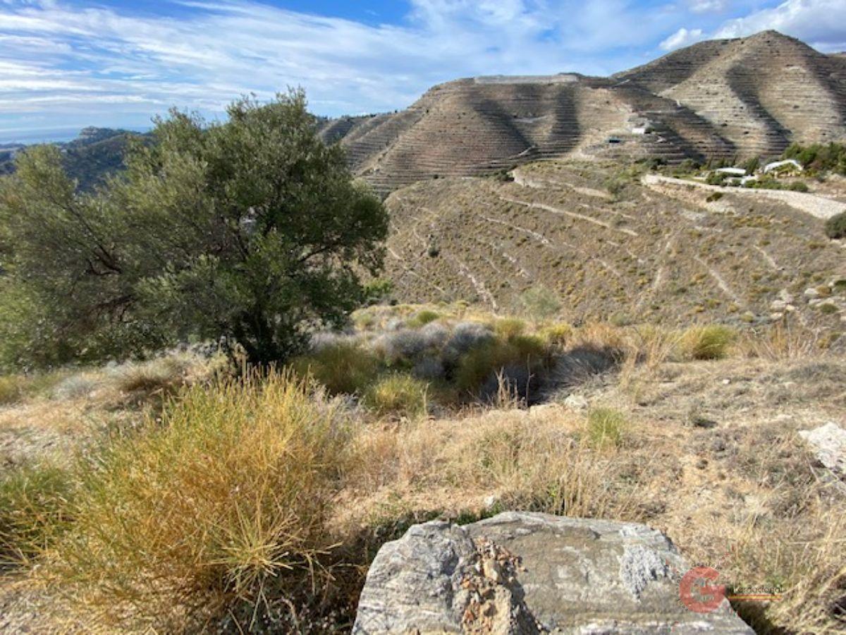 For sale of land in Almuñécar
