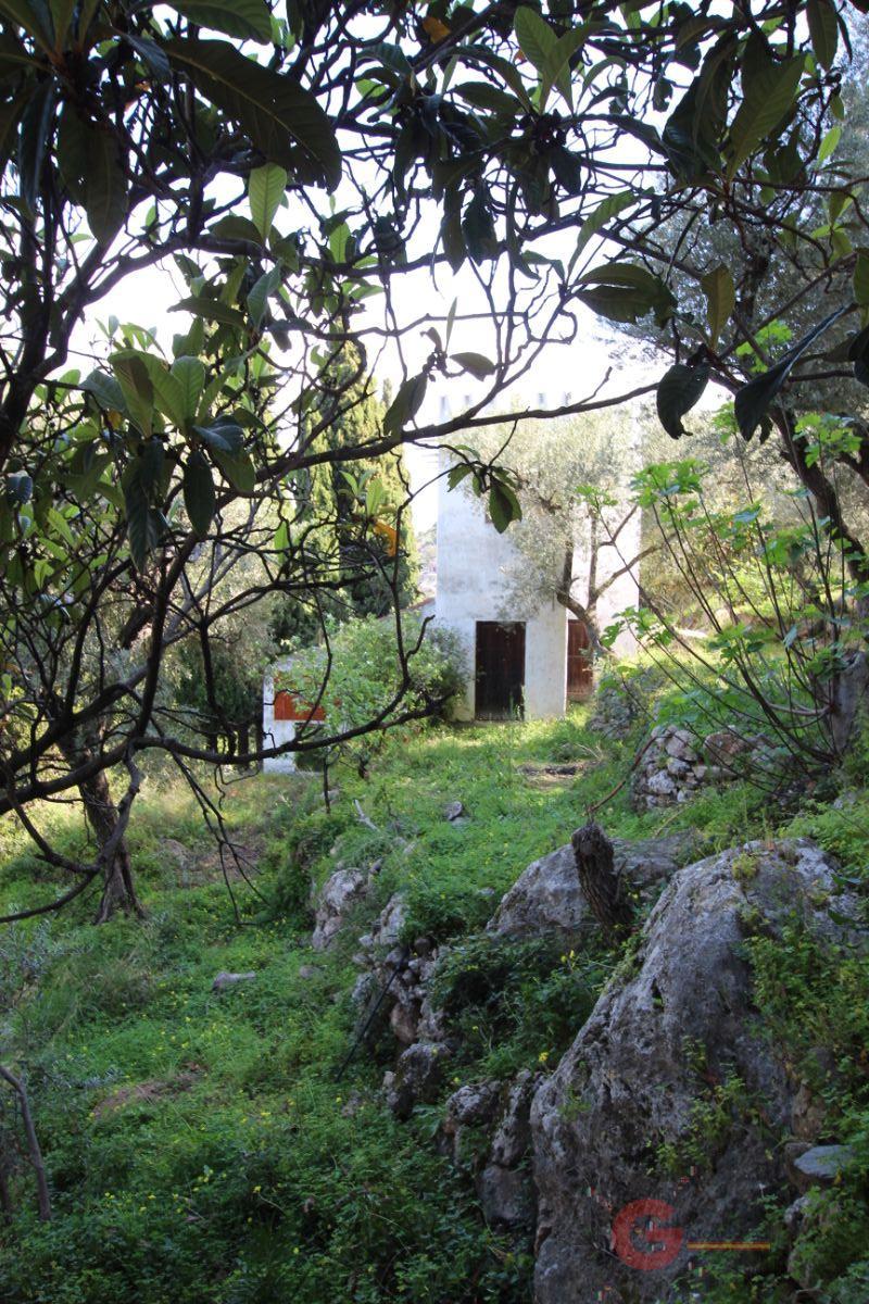 For sale of rural property in Vélez de Benaudalla