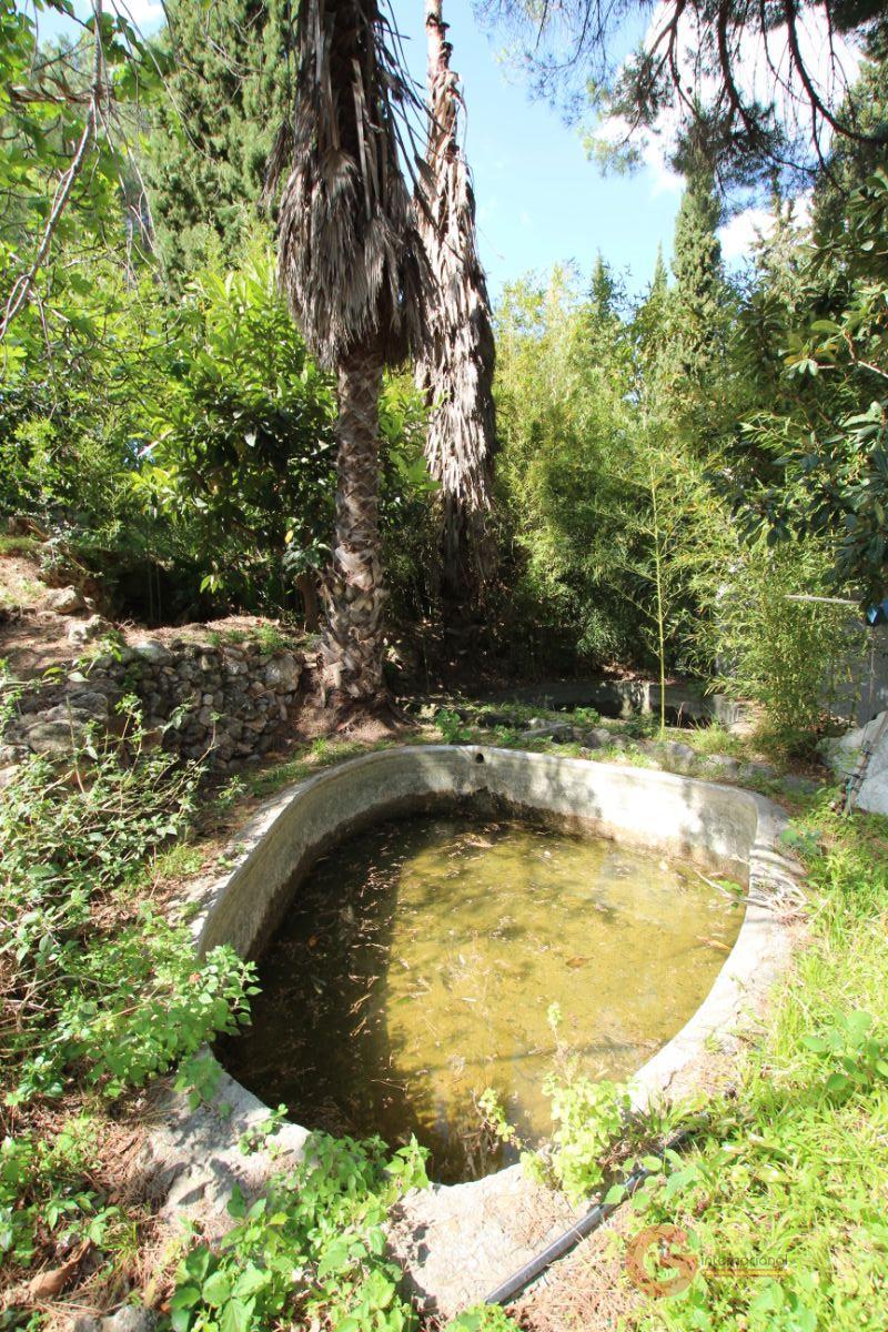 For sale of rural property in Vélez de Benaudalla