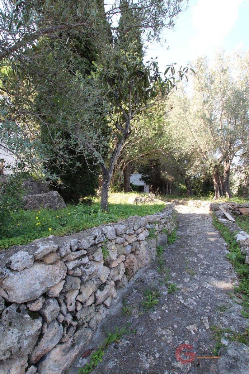 For sale of rural property in Vélez de Benaudalla