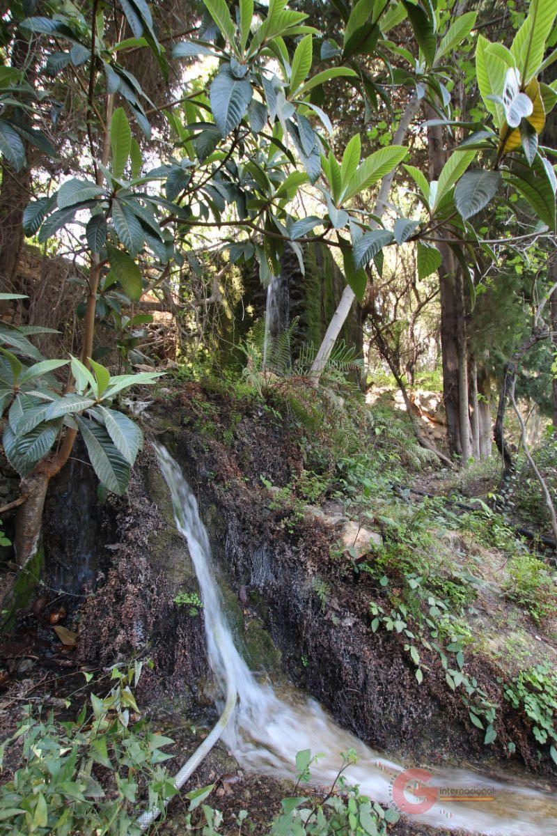 For sale of rural property in Vélez de Benaudalla