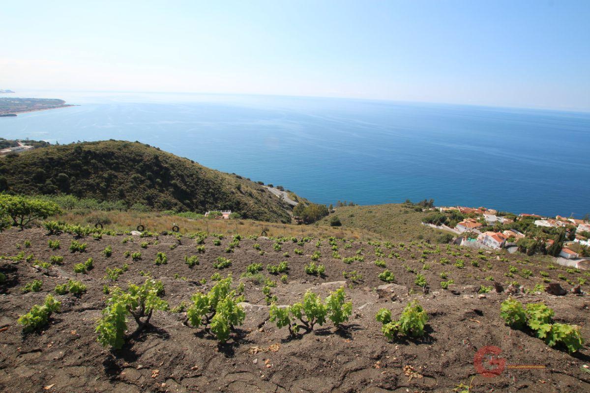 Venta de finca rústica en Salobreña