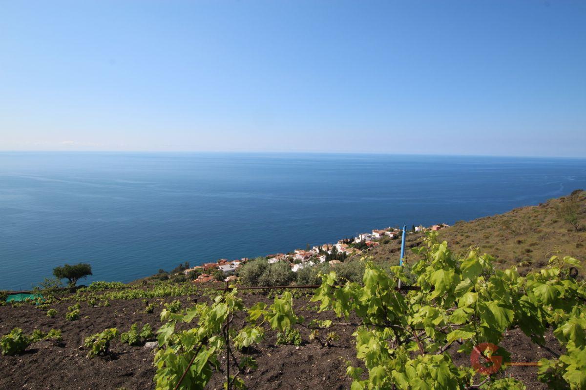 Vendita di proprietà rurale in Salobreña