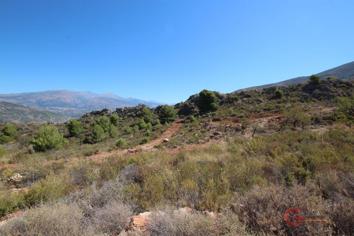 Vente de terrain dans Vélez de Benaudalla