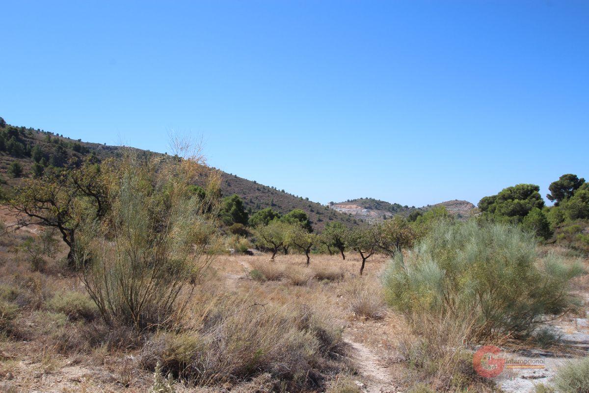 For sale of land in Vélez de Benaudalla