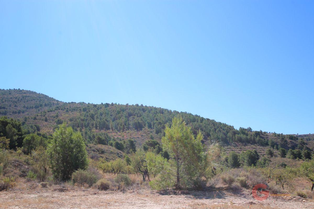 For sale of land in Vélez de Benaudalla