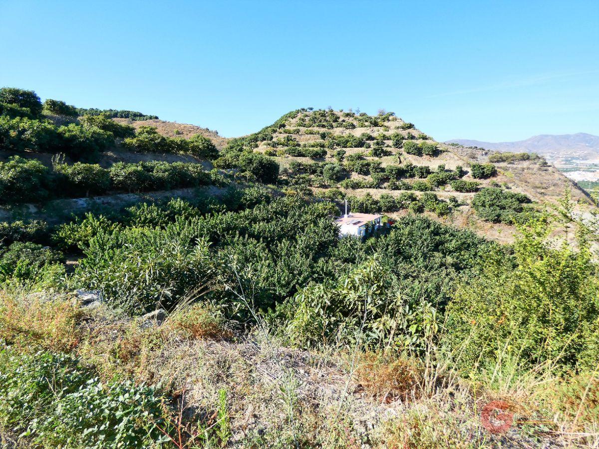 Venta de finca rústica en Motril