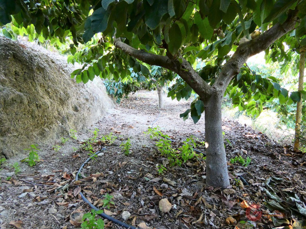 For sale of rural property in Motril