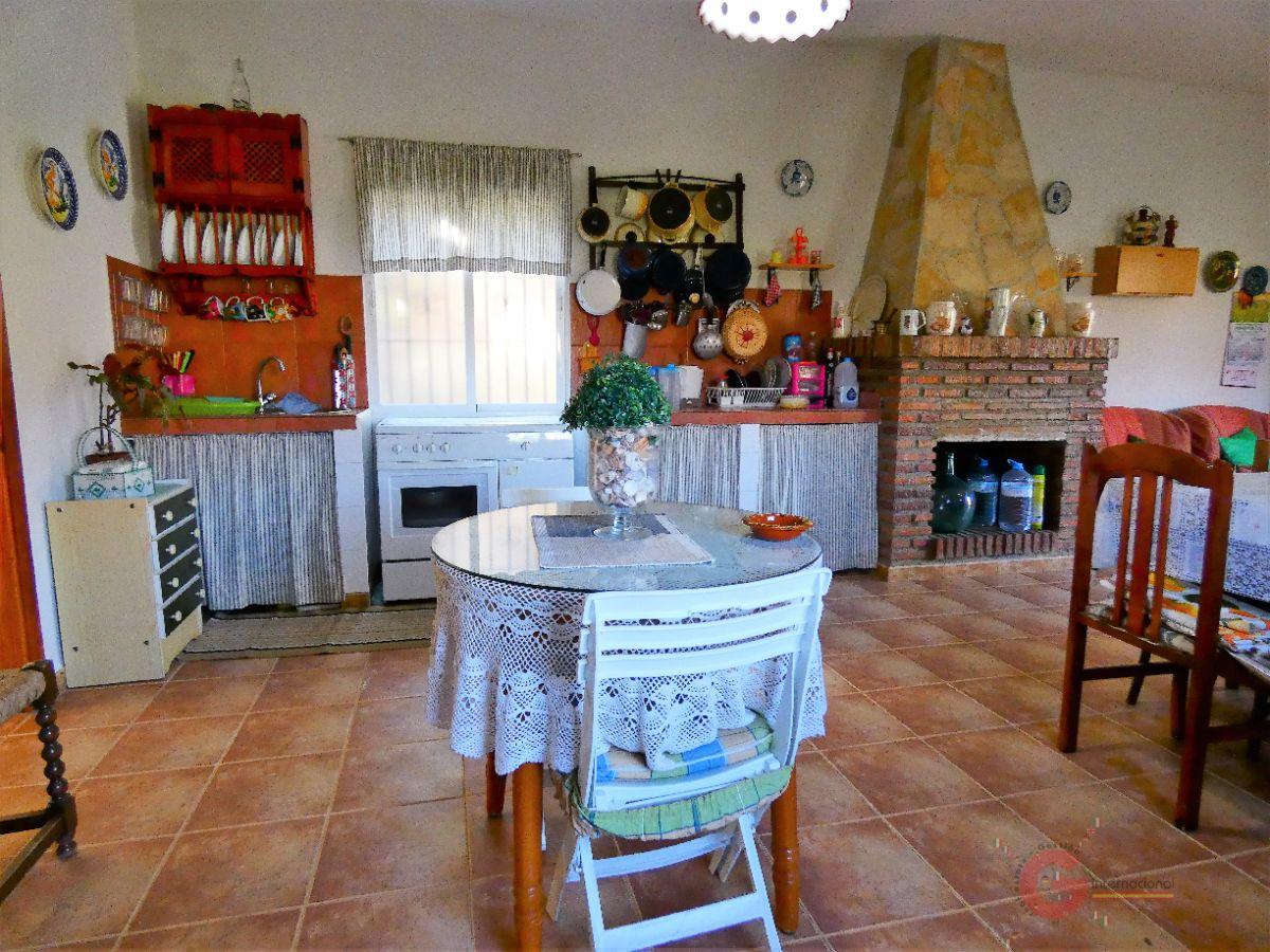 For sale of rural property in Motril