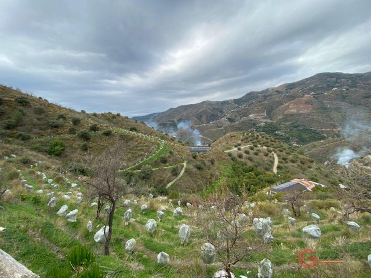 For sale of rural property in Almuñécar